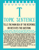 TIQAC Response to Literature Posters