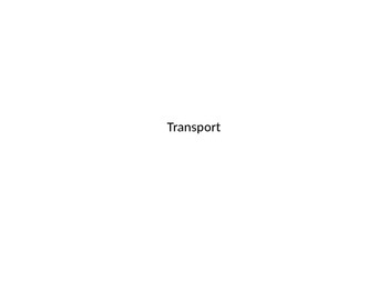 Preview of TRANSPORT POWERPOINT