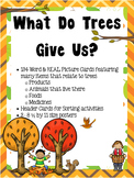 TREE Products - Real Picture & Word Cards