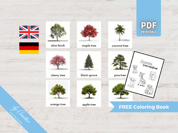 Preview of TREES • 30 Montessori Cards • Flash Cards German English • Nomenclature PDF