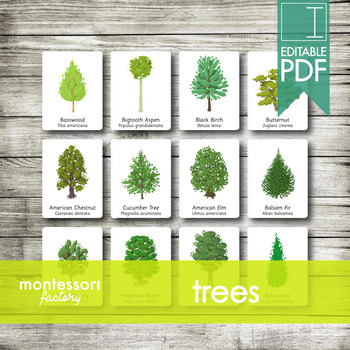 Preview of TREES • Montessori Cards • Flash Cards • Three Part Cards