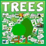 TREES TEACHING RESOURCES AND DISPLAY, SCIENCE PLANTS