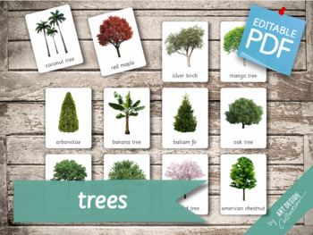 Preview of TREES (real pictures) • 32 Editable Montessori 3-part Cards • Flash Cards