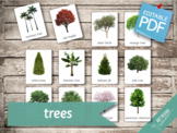 TREES (real pictures) • 32 Editable Montessori 3-part Card