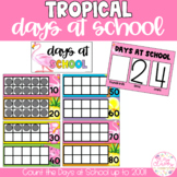 TROPICAL Days at School Display | 100 Days of School