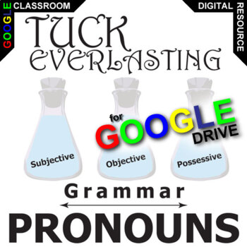 Preview of TUCK EVERLASTING Grammar Pronouns Subjective Reflexive DIGITAL BABBITT