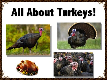 Preview of Turkey Activity //  ALL ABOUT TURKEYS // Thanksgiving / PowerPoint / Reading Fun