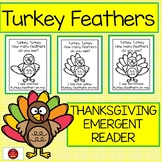 TURKEY FEATHERS - FALL & THANKSGIVING EMERGENT READER