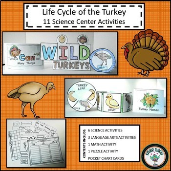 Preview of TURKEY LIFE CYCLE SCIENCE ACTIVITY RESOURCE CENTERS