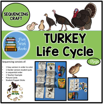 Preview of TURKEY LIFE CYCLE SEQUENCING CRAFT