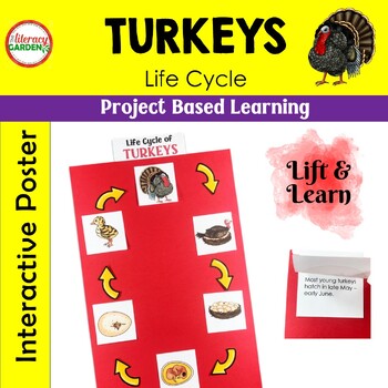 Preview of TURKEY Life Cycle Project