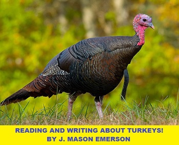 Preview of READING AND WRITING ABOUT TURKEYS! CCSS, SOME SPANISH, THANKSGIVING-XMAS GOODIE