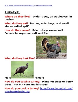 Preview of TURKEYS: narrative/expository writing
