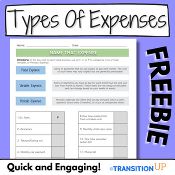 Preview of TYPES OF EXPENSES: FREEBIE- Financial Literacy- Transition- Worksheet