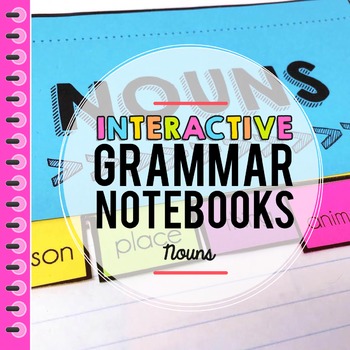 Preview of Nouns Interactive Notebook