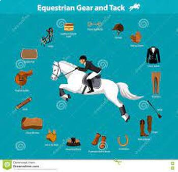 Preview of Tack and Equipment 1 and 2 (Equine)