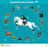 Tack and Equipment 1 and 2 (Equine)