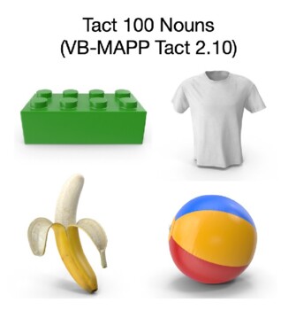 Preview of Tact 100 Nouns (VB-MAPP Tact 2.10)