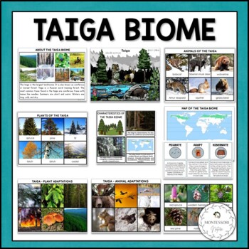Taiga Biome Teaching Resources | TPT