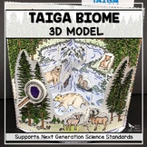 Taiga Biome Model - 3D Model - Biome Project - Distance Learning