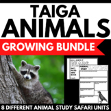Taiga Research Project Bundle | Taiga Biome Project | Anim