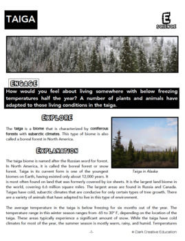 Taiga: Plants Educational Resources K12 Learning, Earth Science
