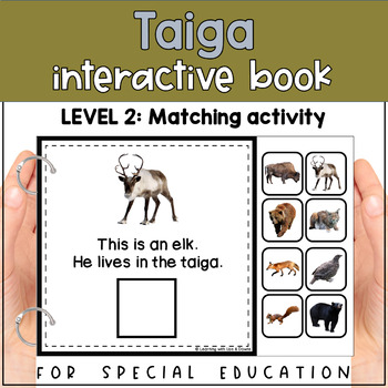 Taiga: Animals Educational Resources K12 Learning, Life Science