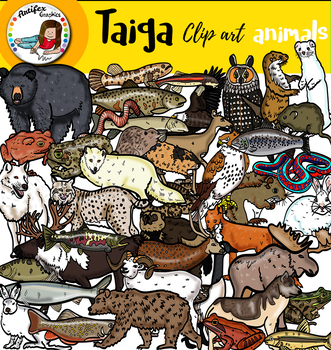 English Vocabulary For Taiga Animals