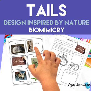 Preview of Animal Adaptation Activities | Tails |  Biomimicry Design Project |  Nonfiction