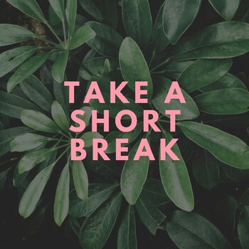 Preview of Take a Break Graphic for Digital Courses
