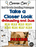 Take a Closer Look: Close Reading for 2nd Grade FREEBIE