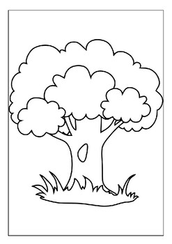 Take a Journey through the Woods with Our Printable Trees Coloring ...