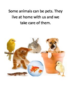 Taking Care of Pets Story, Matching Cards and Worksheet by ASDTeach
