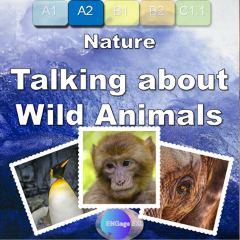 Preview of Talking about Wild Animals Complete Communicative ESL Lesson for Low (A2) Levels
