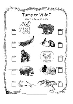  Tame  Wild Animals  by Just Jan Teachers Pay Teachers