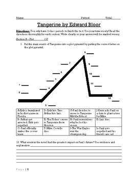 Preview of Tangerine Unit Test