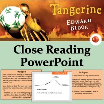 tangerine by edward bloor page count