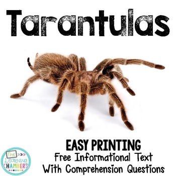 Preview of Tarantulas Informational Text: Main Idea, Comprehension Questions, Facts