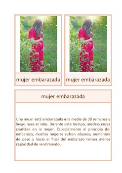 Preview of Tarjeta informativa: feto en el útero, español, Montessori