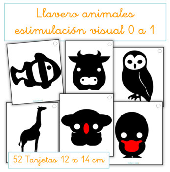 Tarjetas animales estimulación visual 0 a 1 año by EntreteniII