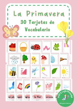 Preview of Tarjetas de Vocabulario - La Primavera