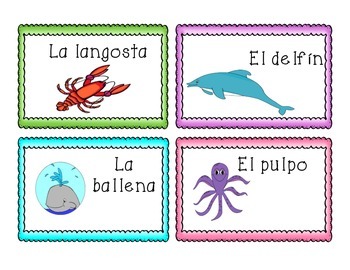 Tarjetas del junio/June Vocabulary Cards in Spanish by Alyson Hennessy