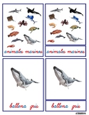 Tarjetas en 3 Partes Montessori Animales marinos