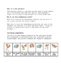 Task Analysis- Handwashing sequence visual and dirty/ clea