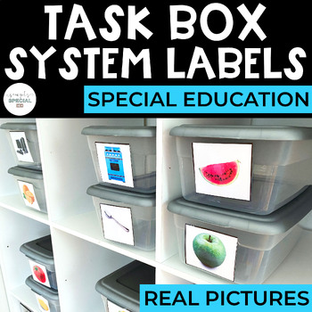 Task Box Labels - Special Education by ABLEinthemiddle