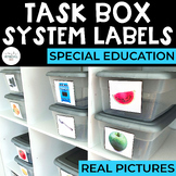Task Box System Labels: Real Pictures | Special Education