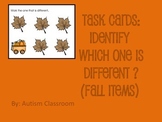 Task Cards- Fall Items (Which One is Different?) from Auti