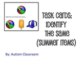 Task Cards -Identify the Same (Summer Items) by Autism Classroom