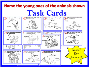 Preview of Task Cards- Young or baby name of animals shown