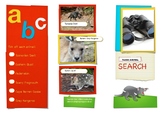 Tasmanian Animal Hunt (Brochure Format)